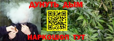 гидра Волгодонск