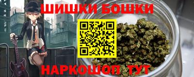 индика Волжск