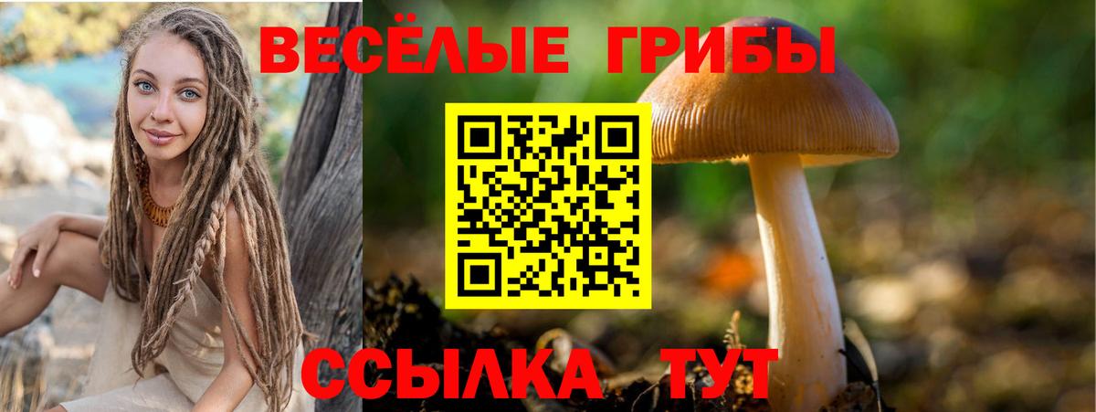 Галлюциногенные грибы мицелий Черкесск